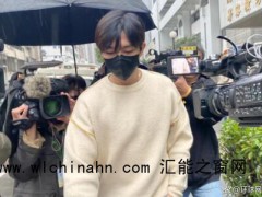 炎亚纶被判7个月缓刑3年 究竟发生了什么？